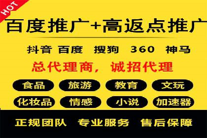 百度竞价推广公司经典案例解析：广告投放策略的智慧